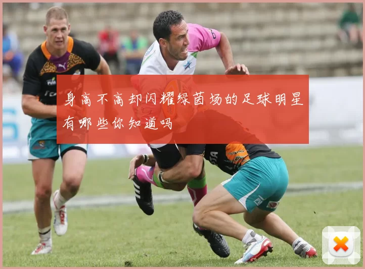 身高不高却闪耀绿茵场的足球明星有哪些你知道吗