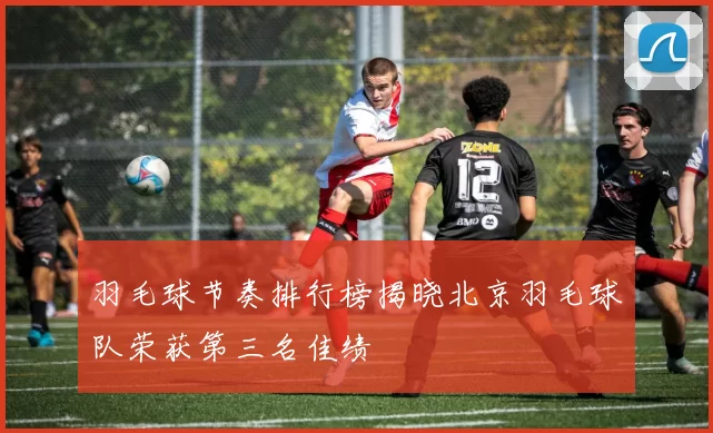 羽毛球节奏排行榜揭晓北京羽毛球队荣获第三名佳绩