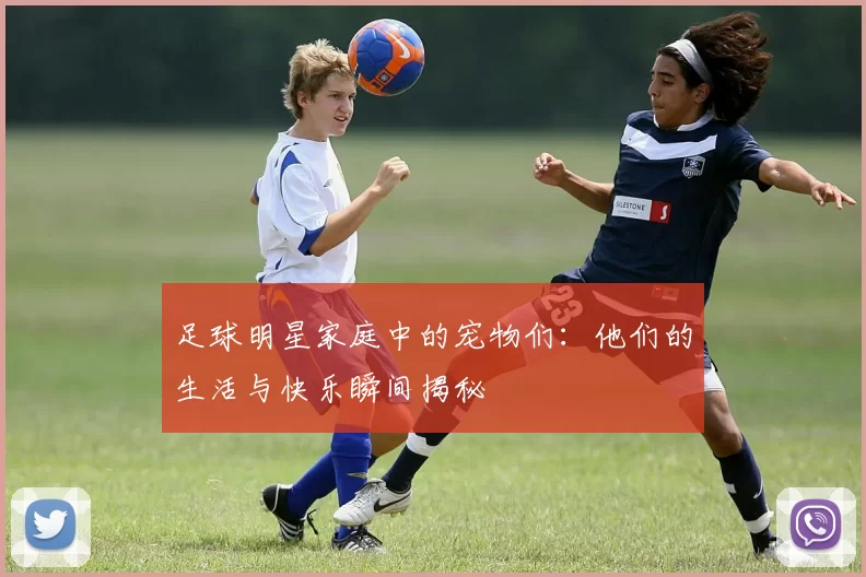 足球明星家庭中的宠物们：他们的生活与快乐瞬间揭秘