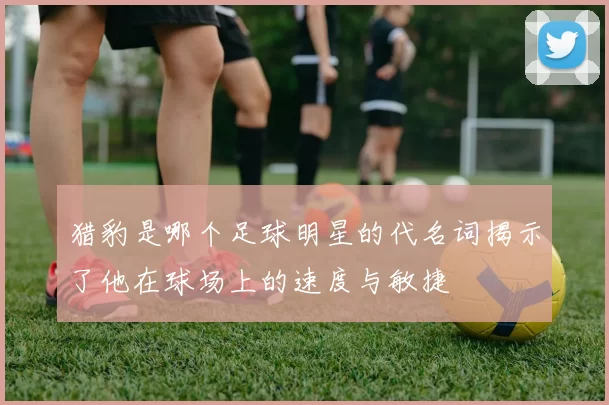 猎豹是哪个足球明星的代名词揭示了他在球场上的速度与敏捷
