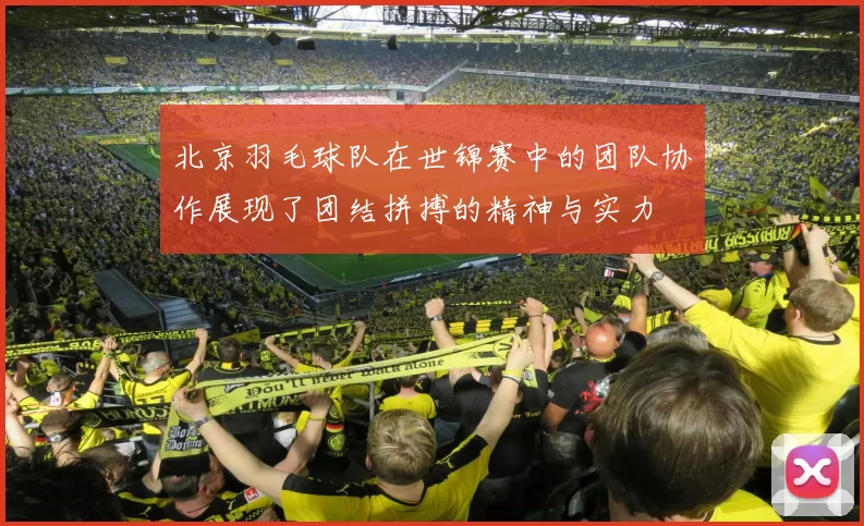 北京羽毛球队在世锦赛中的团队协作展现了团结拼搏的精神与实力