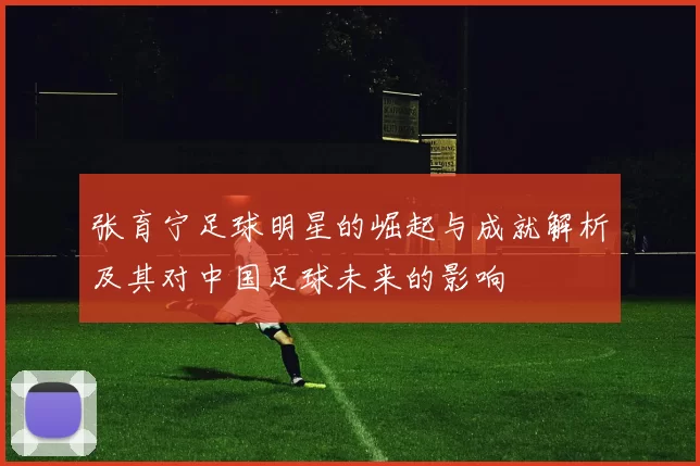 张育宁足球明星的崛起与成就解析及其对中国足球未来的影响