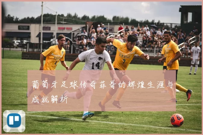 葡萄牙足球传奇菲哥的辉煌生涯与成就解析