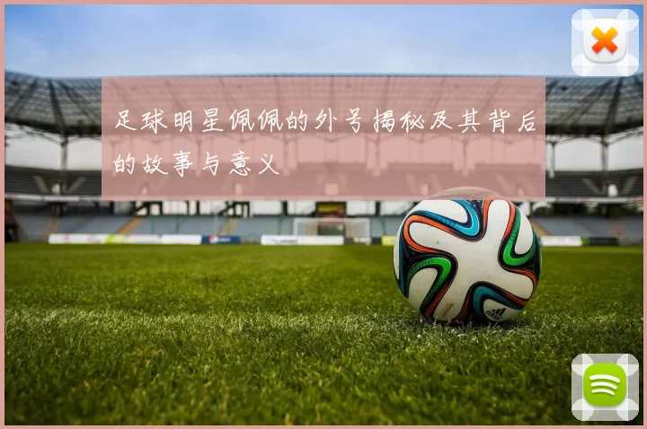 足球明星佩佩的外号揭秘及其背后的故事与意义