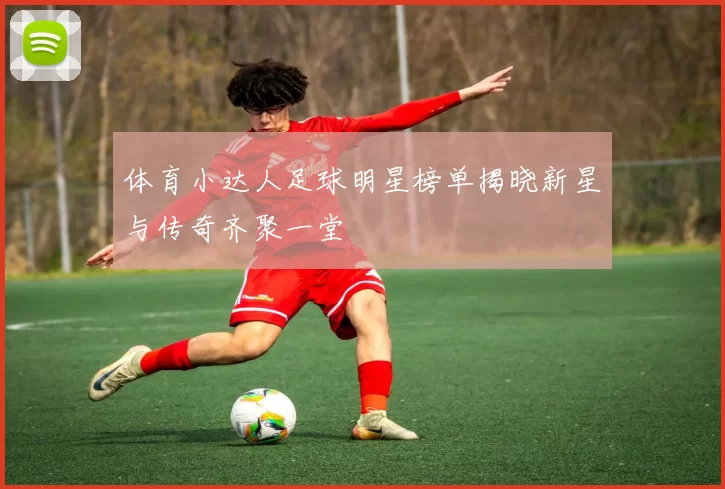 体育小达人足球明星榜单揭晓新星与传奇齐聚一堂