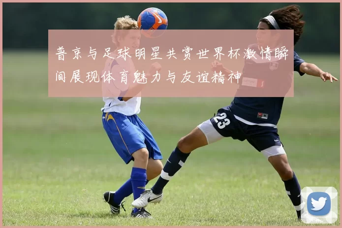 普京与足球明星共赏世界杯激情瞬间展现体育魅力与友谊精神