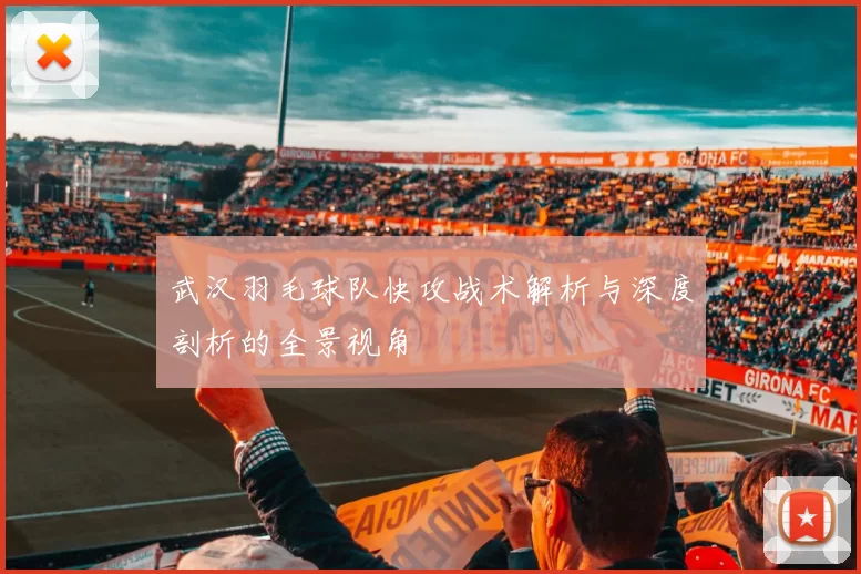武汉羽毛球队快攻战术解析与深度剖析的全景视角