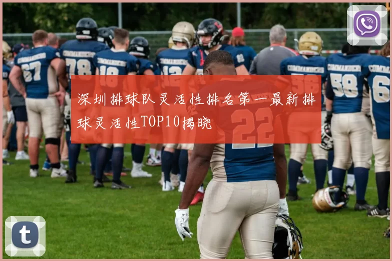 深圳排球队灵活性排名第一最新排球灵活性TOP10揭晓