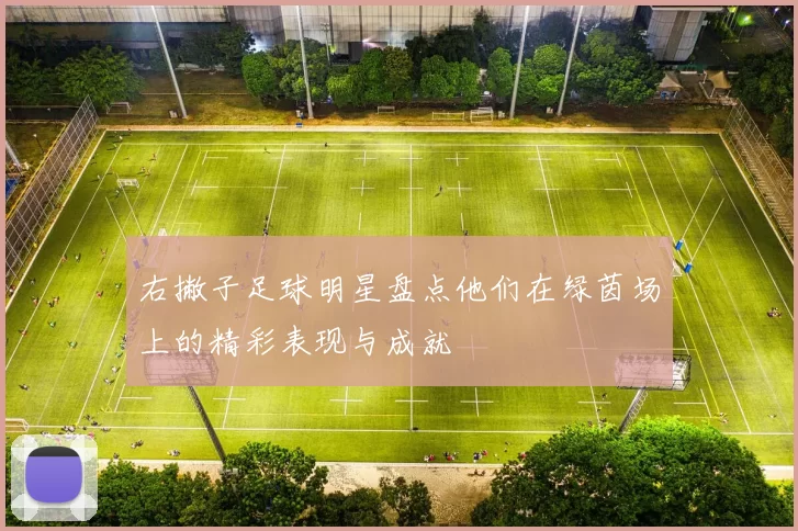 右撇子足球明星盘点他们在绿茵场上的精彩表现与成就