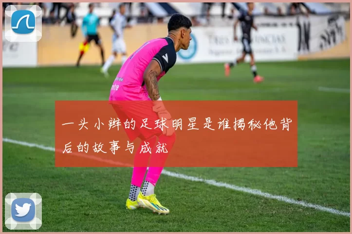 一头小辫的足球明星是谁揭秘他背后的故事与成就
