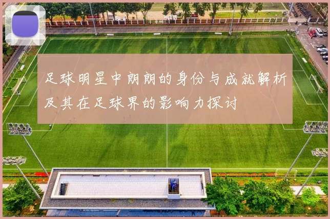 足球明星中朗朗的身份与成就解析及其在足球界的影响力探讨