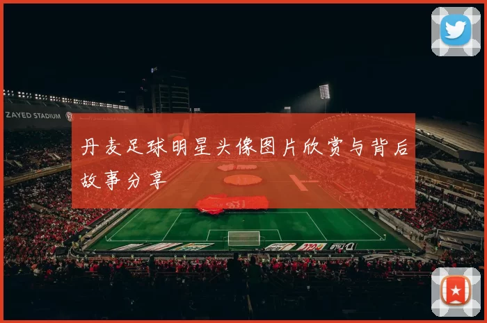 丹麦足球明星头像图片欣赏与背后故事分享