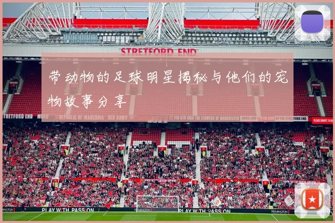 带动物的足球明星揭秘与他们的宠物故事分享